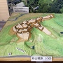 嵐山町役場玄関ホールにある杉山城の復元模型