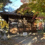 新城神社(高遠城本丸内)の紅葉