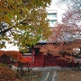 秋の赤門