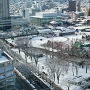 市役所展望台からの雪の城址公園