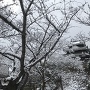 雪と櫓