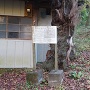 根古屋神社からの登城口