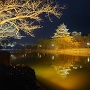 ライトアップされた広島城