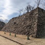 本丸石垣(南側)