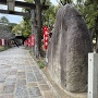中津口門の石垣に使われていた大石
