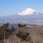 ニの郭から見た富士山