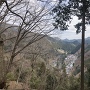 檜原村の展望台