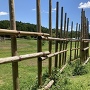 設楽原の馬防柵