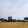 西の丸の芝生広場