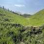 堀底の畝から見上げた土塁