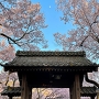問屋門(移築)と桜と月