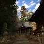 松虫神社