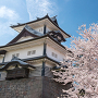 菱櫓と桜[提供：金沢市]
