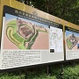 浜松城　浜松城の変遷の分かりやすい案内版