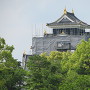 改修終盤の岡山城（南から）