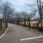 忠元公園