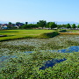 本丸土塁上からの水堀