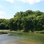 東広瀬城 矢作川越しの遠景