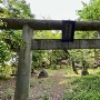 鳥居（鹿島神社）
