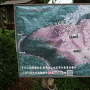 芥川山城推定復元図
