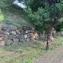 本丸西側の石垣並木