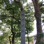桜井城址・城址碑