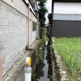 竹ケ鼻城堀跡の水路