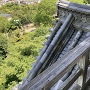 犬山城　欄干と屋根