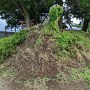 鹿島神社の土塁