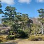 本丸庭園と天守閣跡