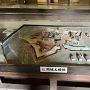 御台所跡内に展示してある龍岡城五稜郭復元模型（東通用門側から）