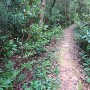 沖島坊谷城 土橋状の尾根道