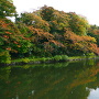 池の端壕の紅葉