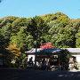 春日神社社殿と裏山