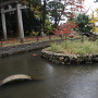 水堀の跡とされる天津神社の池