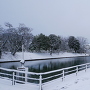 水堀と雪の模擬天守