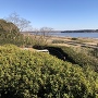 本丸から見た印旛沼の眺望