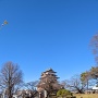 澄んだ青空の高島城