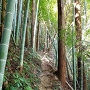 田間神社裏の登城路