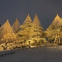 兼六園ライトアップ冬の段　唐崎松のライトアップ風景