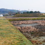 右郭と二の丸間の水堀