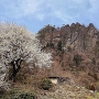 密岩神社より岩櫃山を望む