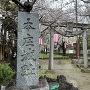 桜咲く城山稲荷神社参道