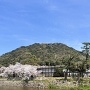 桜咲く山の上丸