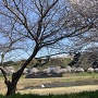 三日月公園から月山富田城を望む