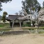 築山神社に咲く桜