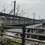 天主台から見たJR三原駅の新幹線ホーム