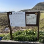 北国脇往還の説明板と小谷城下町大谷市場の石碑