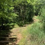 駅裏登山道