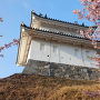 河津桜と富士見櫓